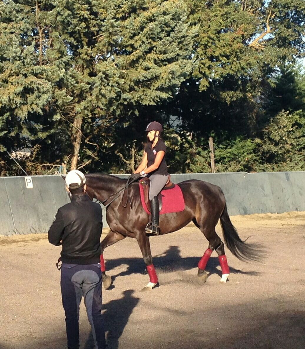 I. Seminario de Doma Adaptada/Paraecuestre
